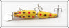 Creek Chub Yellow Spotted Jointed Pikie 2614 DD