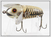 Heddon Silver Shore Crazy Crawler