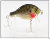 Bagley Bream On White Small Fry Bream Lure