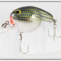 Bagley Crippled Shad On Silver Fat Cat