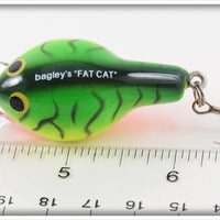 Bagley Fire Tiger Fat Cat