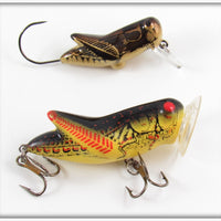 Rebel Brown Cricket Micro Crickhopper & Yellow Black Back Crickhopper Popper