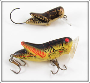 Rebel Brown Cricket Micro Crickhopper & Yellow Black Back Crickhopper Popper