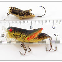 Rebel Brown Cricket Micro Crickhopper & Yellow Black Back Crickhopper Popper