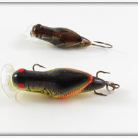 Rebel Brown Cricket Micro Crickhopper & Yellow Black Back Crickhopper Popper