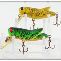 Rebel Fire Tiger & Yellow Grasshopper Crickhopper Pair