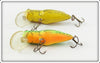 Rebel Fire Tiger & Yellow Grasshopper Crickhopper Pair