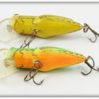 Rebel Fire Tiger & Yellow Grasshopper Crickhopper Pair