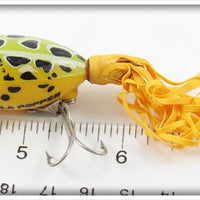 Arbogast Natural Frog Spinning Hula Popper