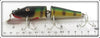 Creek Chub Perch Jointed Pikie In Box 2601 W
