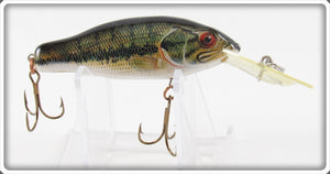 Vintage Rebel Natural Bass Bait Fish Series Lure