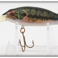 Rebel Natural Bass Bait Fish Series