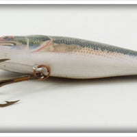 Rebel Natural Bass Bait Fish Series