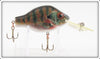 Vintage Rebel Natural Bream Bait Fish Series Lure