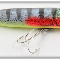 Heddon Charlie Campbell Natural Perch Zara Spook Lure