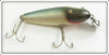 Creek Chub Repainted Chub Scale Scamp Lure