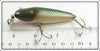 Creek Chub Repainted Chub Scale Scamp