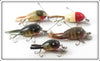 Vintage Creek Chub Dingbat Lot Of Five Lures