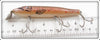 Creek Chub Photo Finish Brook Trout Plastic Pikie 700 BT