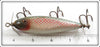 Creek Chub Early Redside Injured Minnow 1505