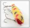 Creek Chub Yellow Spotted Darter 2014