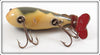 Creek Chub Tan Crab Crawdad 315