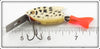 Heddon Coachdog Firetail Sonic