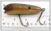 Creek Chub Red Side Open Mouth Shiner