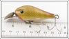 P&K Perch Amazin' Maizie