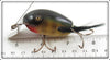 Creek Chub Perch Dingbat 5101