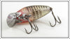 Heddon Silver Shore Midget Digit In Box 9020 XRS