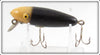 Unknown Possibly HICO Black White Head Minnow