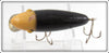 Unknown Possibly HICO Black White Head Minnow