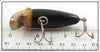 Unknown Possibly HICO Black White Head Minnow