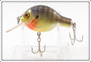 Bagley Bream Small Fry Bream