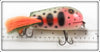 Killer Baits Rusky Jessee Rainbow Trout Huge Musky Dingbat Lure