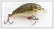 Vintage Rebel Naturalized Frog Wee R Lure