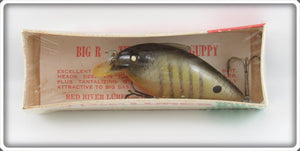 Vintage Red River Lures Perch Big R The Pregnant Guppy In Box