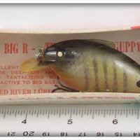 Red River Lures Perch Big R The Pregnant Guppy In Box