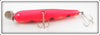 Creek Chub Orange Spotted Giant Pikie