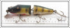 Creek Chub Perch Jointed Striper Pikie 6801