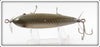 Creek Chub Silver Shiner Early Injured Minnow 1503