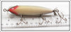 Creek Chub Silver Shiner Early Injured Minnow 1503
