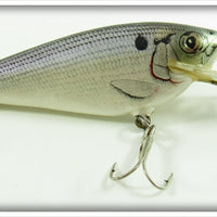 Vintage Bagley Shad On White Small Fry Shad Lure