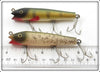 Creek Chub Perch & Silver Flash Darter Pair