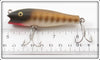 Creek Chub Pikie Scale Midget Darter 8000
