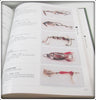 Fishing Lure Collectibles An Encyclopedia Of The Early Years Book