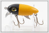 Clark's Yellow Black Head Water Scout