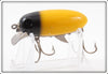 Clark's Yellow Black Head Dent Eye Water Scout