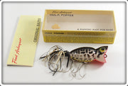 Vintage Fred Arbogast Black Coachdog Hula Popper Lure In Box